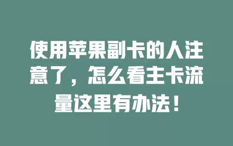 使用苹果副卡的人注意了，怎么看主卡流量这里有办法！