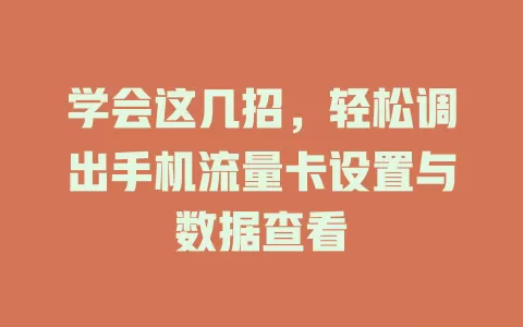 学会这几招，轻松调出手机流量卡设置与数据查看