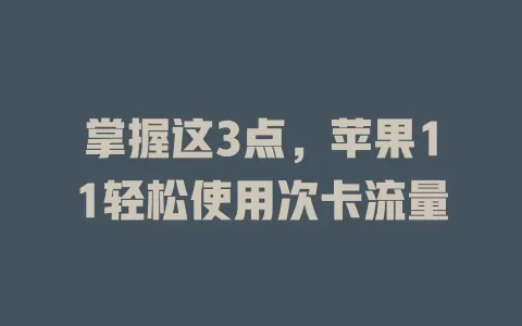 掌握这3点，苹果11轻松使用次卡流量