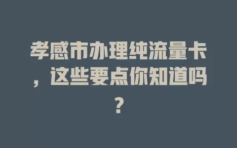 孝感市办理纯流量卡，这些要点你知道吗？