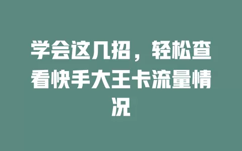 学会这几招，轻松查看快手大王卡流量情况