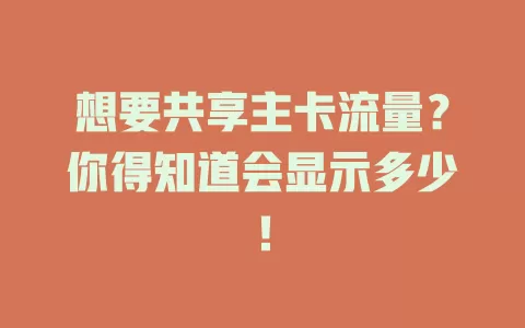 想要共享主卡流量？你得知道会显示多少！