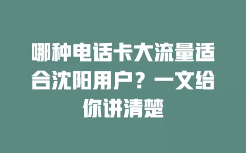 哪种电话卡大流量适合沈阳用户？一文给你讲清楚