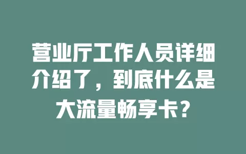 营业厅工作人员详细介绍了，到底什么是大流量畅享卡？