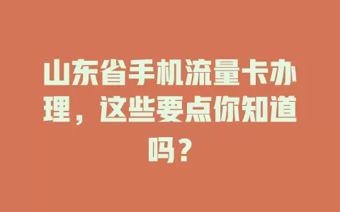 山东省手机流量卡办理，这些要点你知道吗？