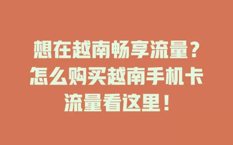 想在越南畅享流量？怎么购买越南手机卡流量看这里！