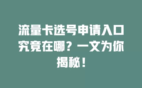 流量卡选号申请入口究竟在哪？一文为你揭秘！