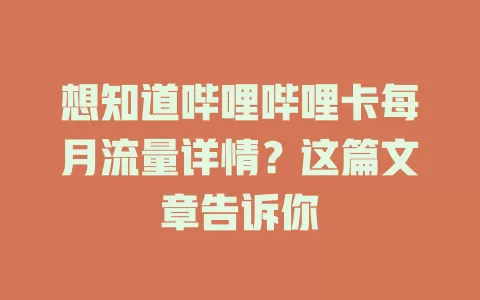 想知道哔哩哔哩卡每月流量详情？这篇文章告诉你