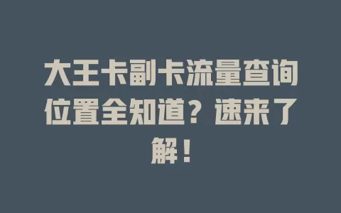 大王卡副卡流量查询位置全知道？速来了解！