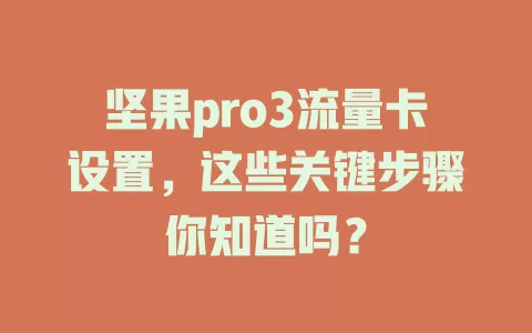 坚果pro3流量卡设置，这些关键步骤你知道吗？