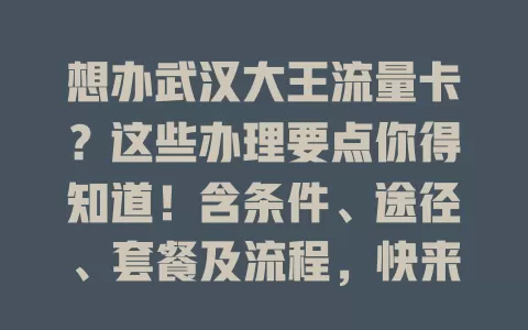 想办武汉大王流量卡？这些办理要点你得知道！含条件、途径、套餐及流程，快来看！