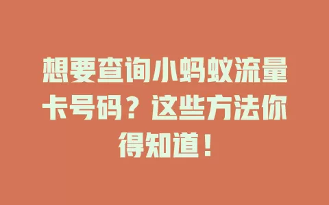 想要查询小蚂蚁流量卡号码？这些方法你得知道！