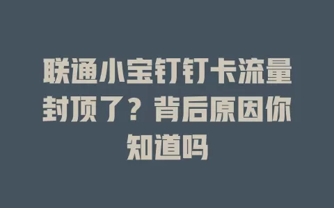 联通小宝钉钉卡流量封顶了？背后原因你知道吗