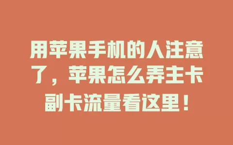 用苹果手机的人注意了，苹果怎么弄主卡副卡流量看这里！