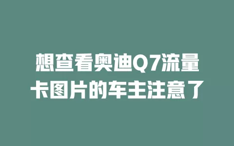 想查看奥迪Q7流量卡图片的车主注意了
