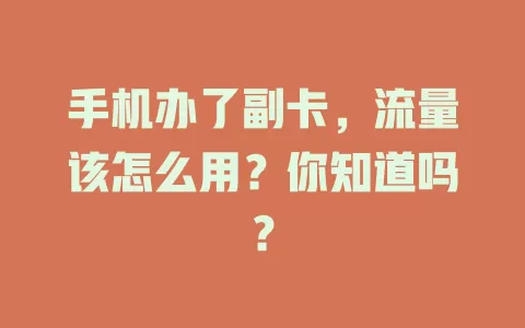 手机办了副卡，流量该怎么用？你知道吗？