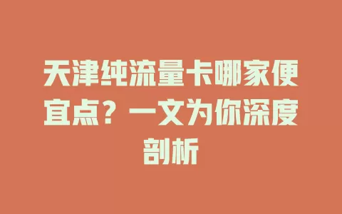 天津纯流量卡哪家便宜点？一文为你深度剖析