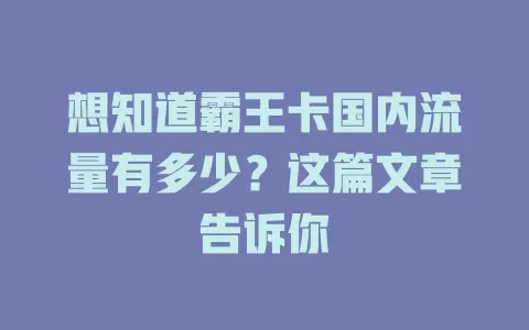 想知道霸王卡国内流量有多少？这篇文章告诉你
