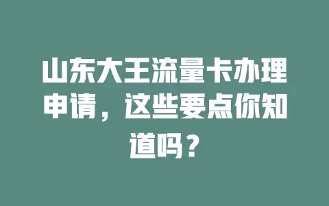 山东大王流量卡办理申请，这些要点你知道吗？