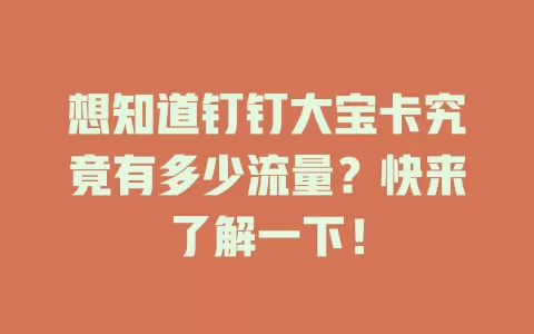 想知道钉钉大宝卡究竟有多少流量？快来了解一下！