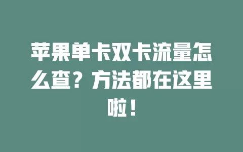 苹果单卡双卡流量怎么查？方法都在这里啦！