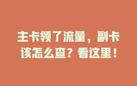 主卡领了流量，副卡该怎么查？看这里！