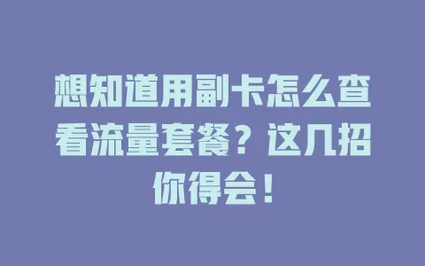想知道用副卡怎么查看流量套餐？这几招你得会！