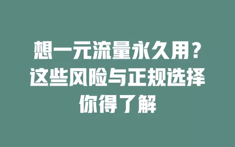 想一元流量永久用？这些风险与正规选择你得了解