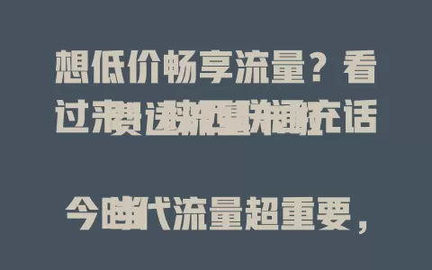 想低价畅享流量？看过来！陕西联通充话费送流量卡啦

当今时代流量超重要，高额费用却有压力。现陕西联通推出充话费送流量卡活动，实惠又便利，网络还好，能让你轻松畅享更多流量，拥抱精彩数字生活 。