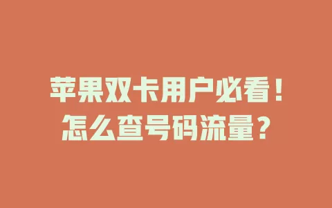 苹果双卡用户必看！怎么查号码流量？