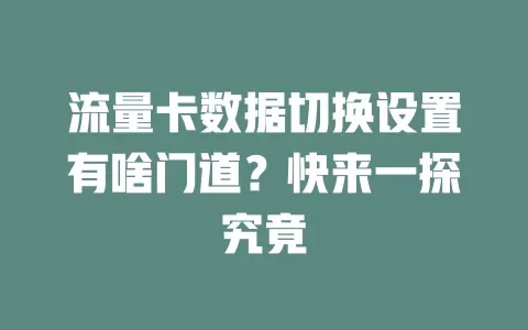 流量卡数据切换设置有啥门道？快来一探究竟