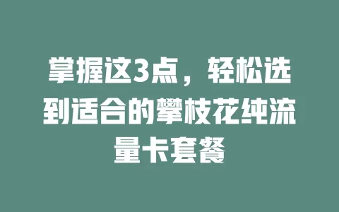 掌握这3点，轻松选到适合的攀枝花纯流量卡套餐