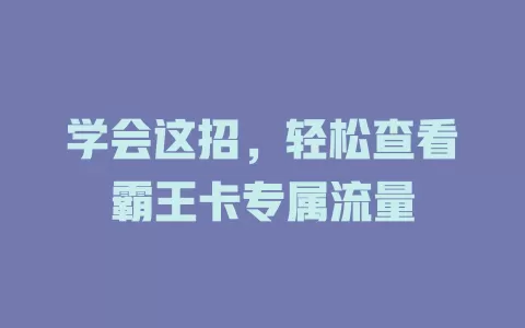 学会这招，轻松查看霸王卡专属流量