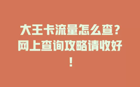 大王卡流量怎么查？网上查询攻略请收好！