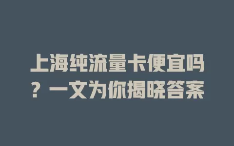 上海纯流量卡便宜吗？一文为你揭晓答案