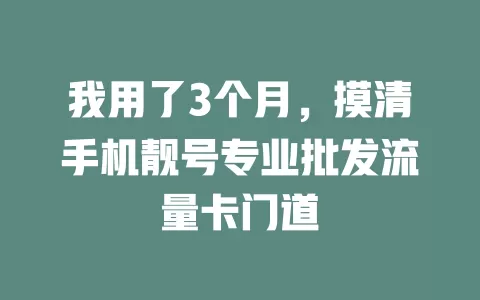我用了3个月，摸清手机靓号专业批发流量卡门道