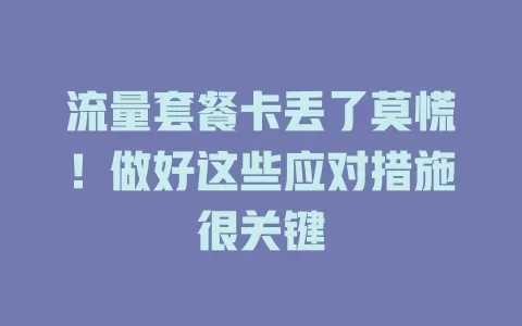 流量套餐卡丢了莫慌！做好这些应对措施很关键