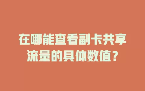 在哪能查看副卡共享流量的具体数值？
