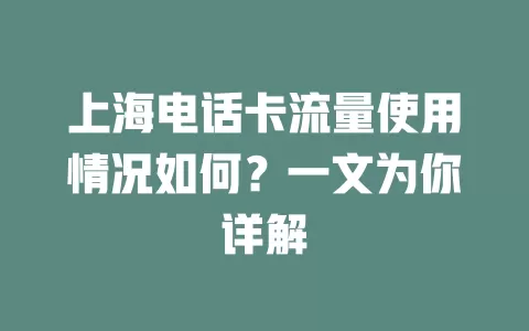 上海电话卡流量使用情况如何？一文为你详解