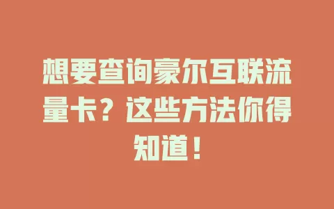 想要查询豪尔互联流量卡？这些方法你得知道！
