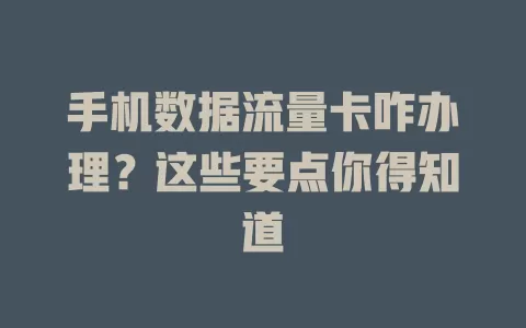 手机数据流量卡咋办理？这些要点你得知道