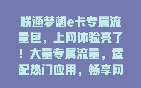 联通梦想e卡专属流量包，上网体验亮了！大量专属流量，适配热门应用，畅享网络无拘无束