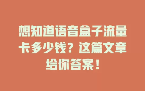 想知道语音盒子流量卡多少钱？这篇文章给你答案！