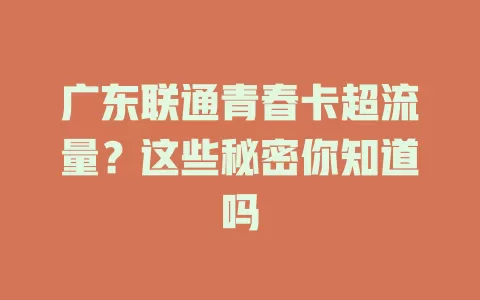 广东联通青春卡超流量？这些秘密你知道吗