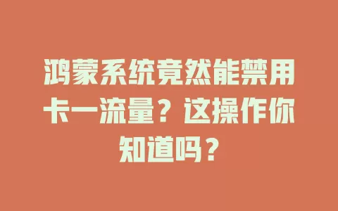 鸿蒙系统竟然能禁用卡一流量？这操作你知道吗？