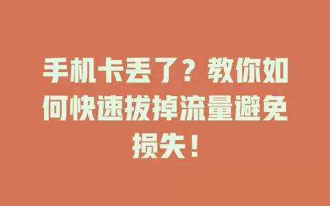 手机卡丢了？教你如何快速拔掉流量避免损失！