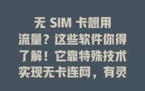 无 SIM 卡想用流量？这些软件你得了解！它靠特殊技术实现无卡连网，有灵活套餐，操作简单，安全有保障。选时要谨慎，挑正规可靠的，关注费用。用好它，无卡也能畅享网络乐趣