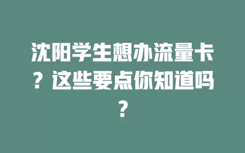 沈阳学生想办流量卡？这些要点你知道吗？