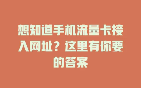 想知道手机流量卡接入网址？这里有你要的答案