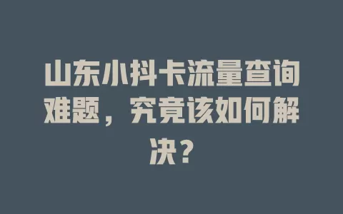 山东小抖卡流量查询难题，究竟该如何解决？